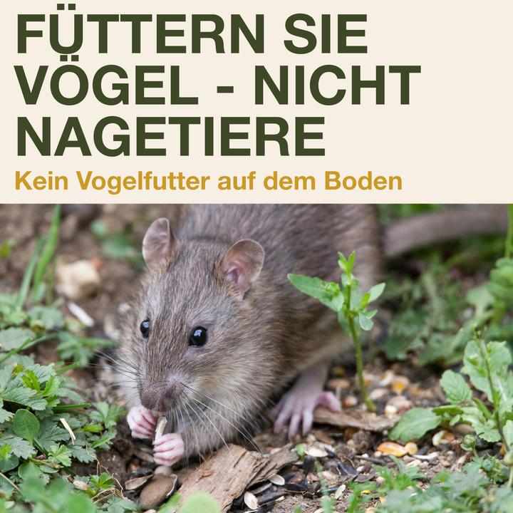 Productafbeelding Swissinno Vogel-Futtersilo "Davos" SMART BIRDS. Hellblau