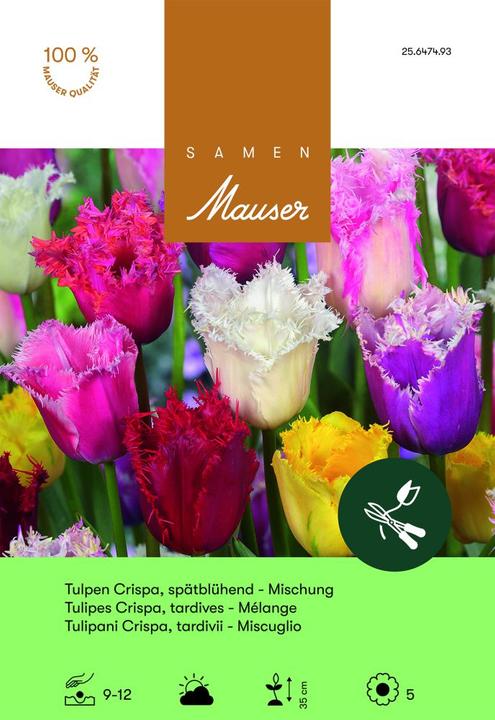 Produktbild Samen Mauser Mischung Crispa (Blumenzwiebeln)