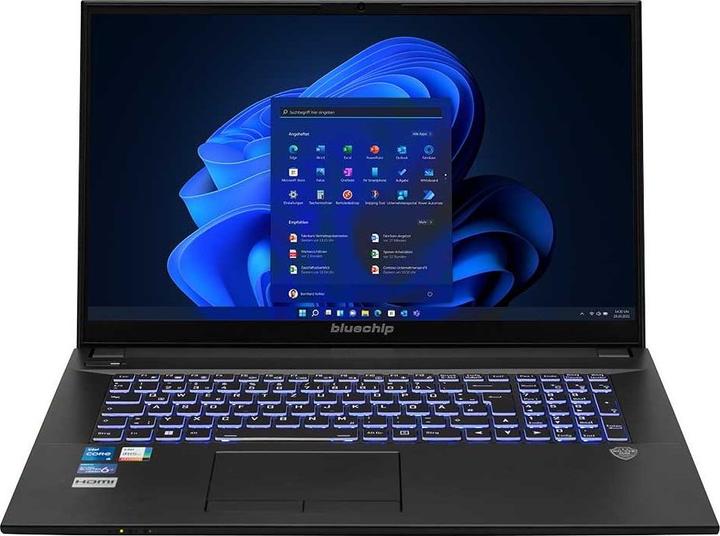 Bluechip TRAVELline B17W27 Intel® Core™ i5-1335U Prozessor / bis zu 4.60 GHz, Windows 11 Pro, 17,3/"" non-gla (17.30", 500 GB, 16 GB, DE, Intel Core i5-1335U)
