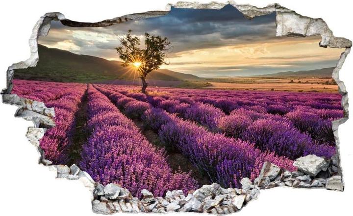 Image du produit Trenddeko 3D Fleur de lavande en Provence (100 x 54 cm)