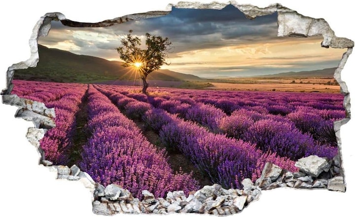 Immagine prodotto Trenddeko 3D Fiori di lavanda in Provenza (100 x 54 cm)