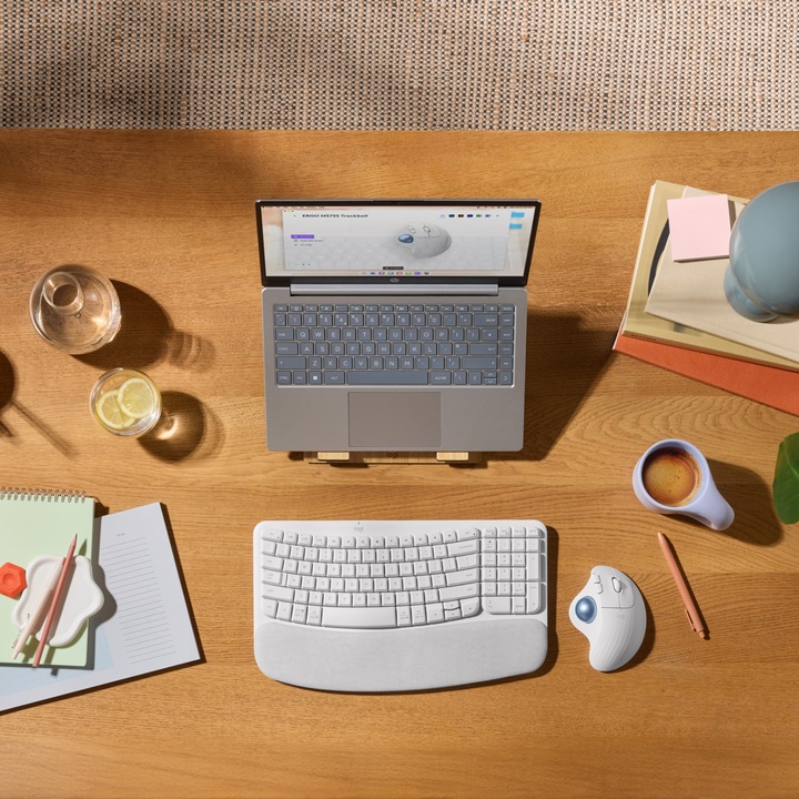 Produktbild Logitech Ergo M575s (Kabellos)