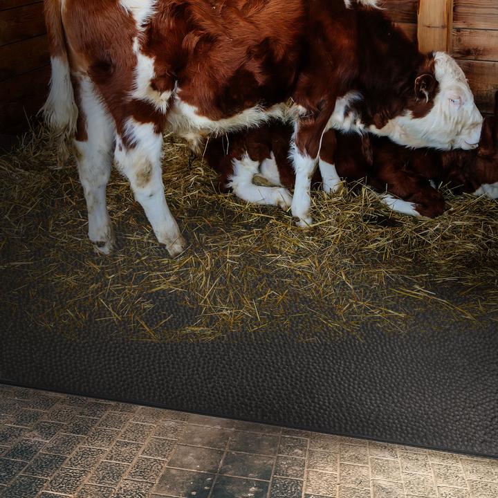 Produktbild ETM Cow Bed Matress (200 x 100 cm)