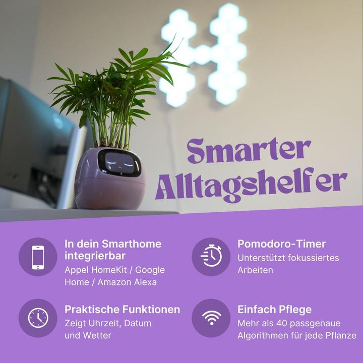 Produktbild Hermex Ivy Smart Planter (9 x 11 x 9 cm)