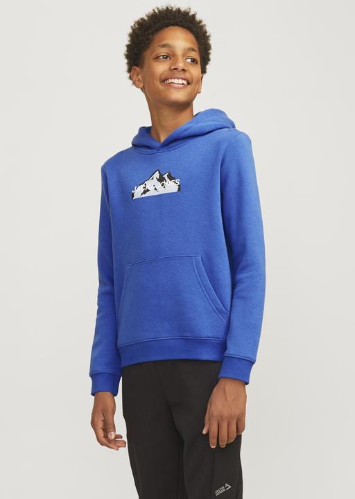 Actual product image Jack & Jones Jcomountain Logo Sweat Hood Sn Mni (122)