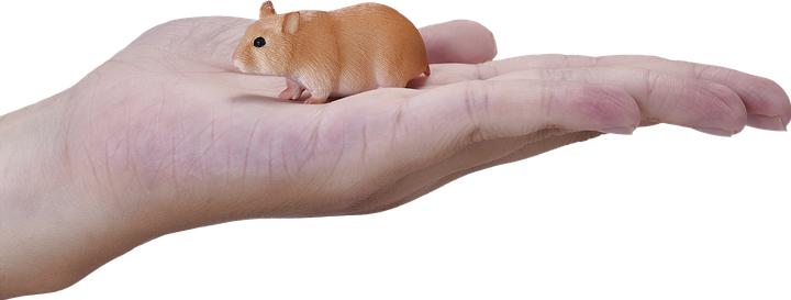 Actual product image Mojo Hamster