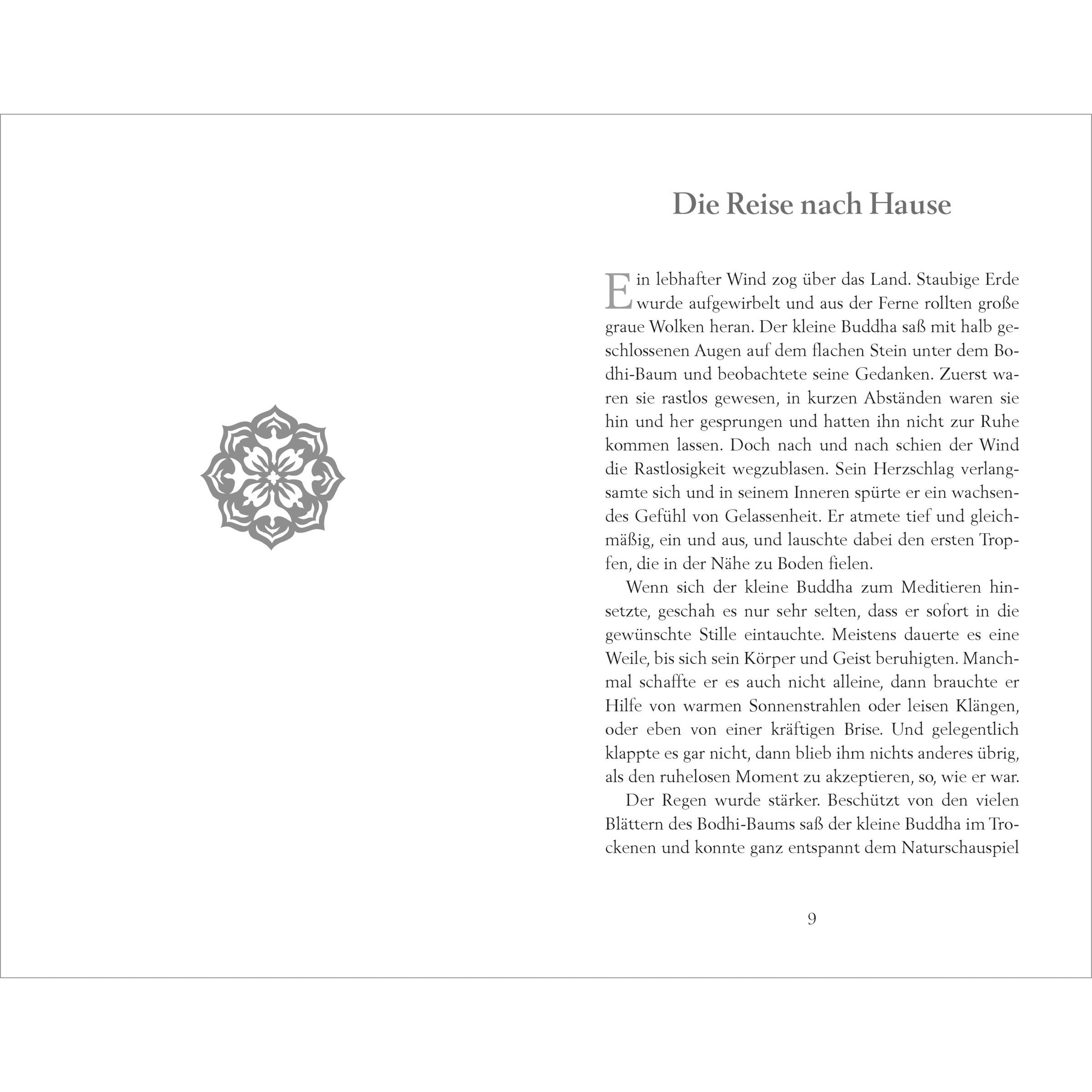 Thumbnail - Der kleine Buddha auf der Reise nach Hause, Ratgeber von Claus Mikosch