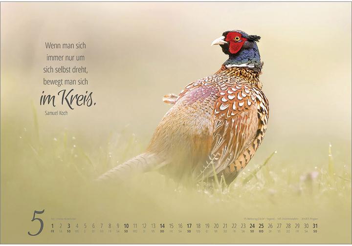 Produktbild Real Wildlife 2026 (49 x 34 cm)