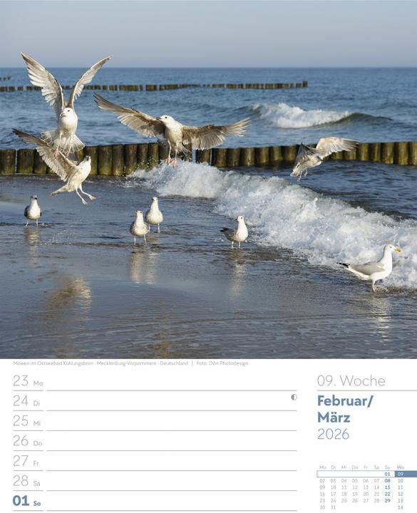 Produktbild Am Meer - Wochenplaner Kalender 2026