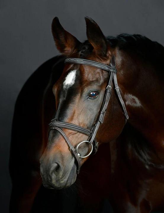 Immagine prodotto Collegiate Comfitec Opulux Fancy Stitch