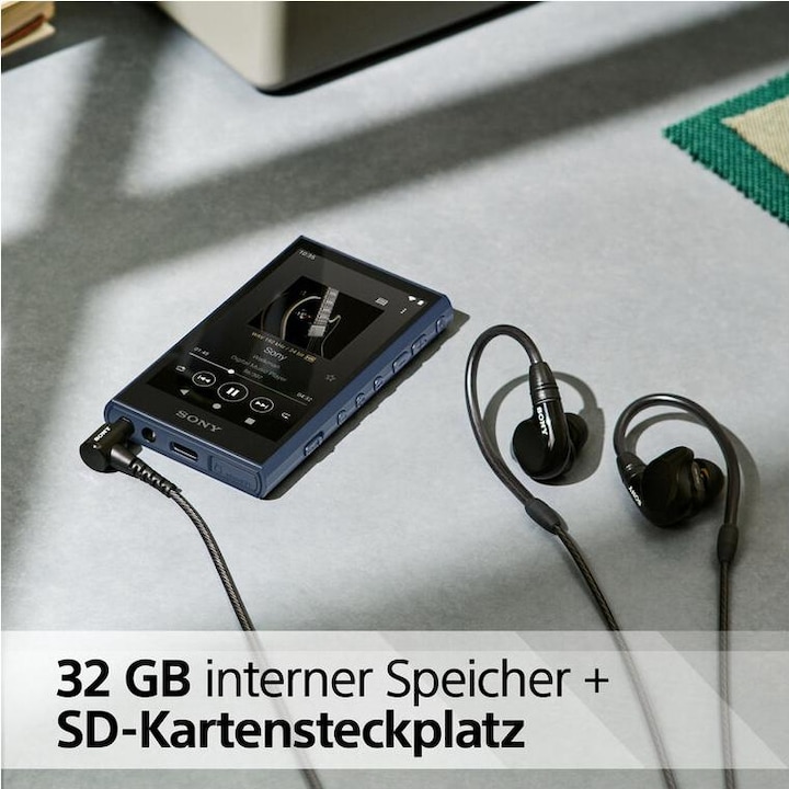 Image du produit Sony NW-A306 (18 Go)