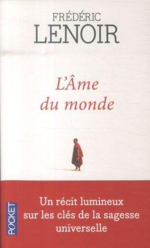 Actual product image L'âme du monde (German, Frédéric Lenoir, 2014)