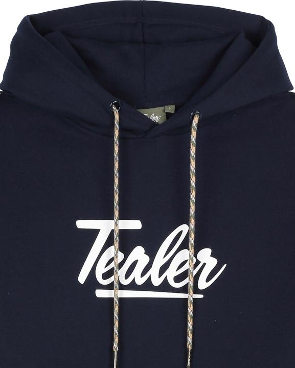 Actual product image Tealer hoodie ricky & morty rainbow blurp (XS)