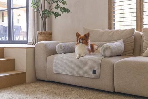 Productafbeelding Designed by Lotte Bankkussen Geribd (Hond)