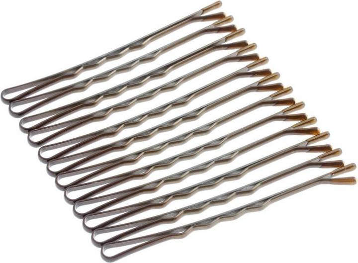 Produktbild DailyGo Bobbypin (12 Stk.)
