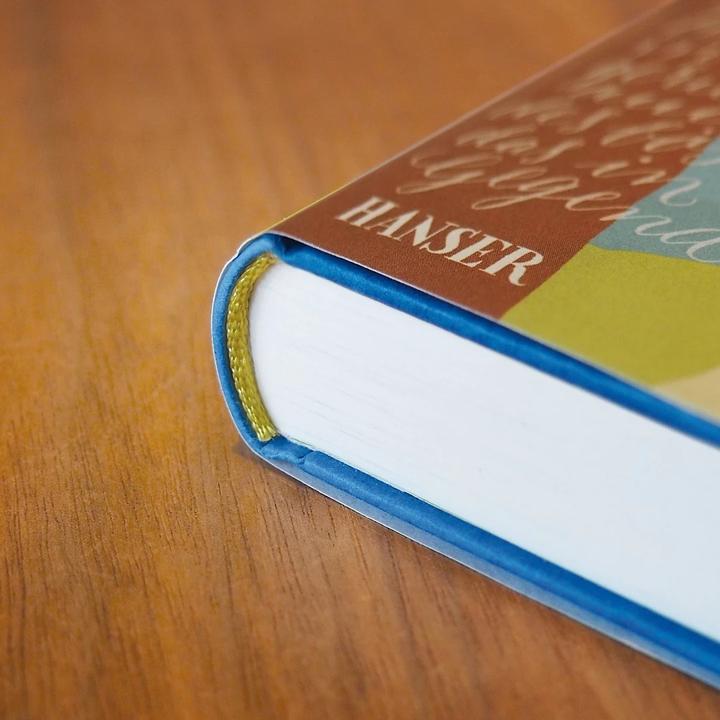 Produktbild Das Jahr, in dem ich lügen lernte (Deutsch, Lauren Wolk, 2017)