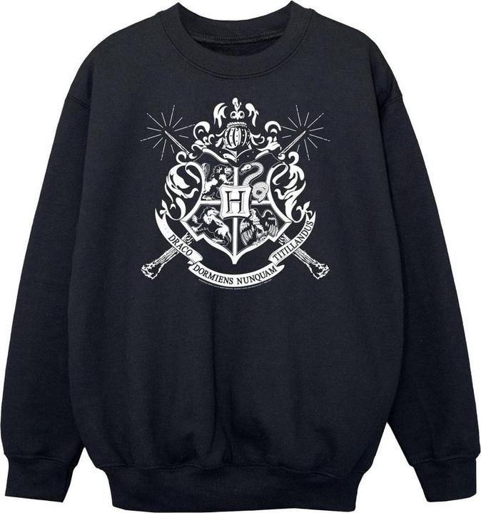 Produktbild Jungen Hogwarts Wappen Zauberstäbe Sweatshirt (140, 146)