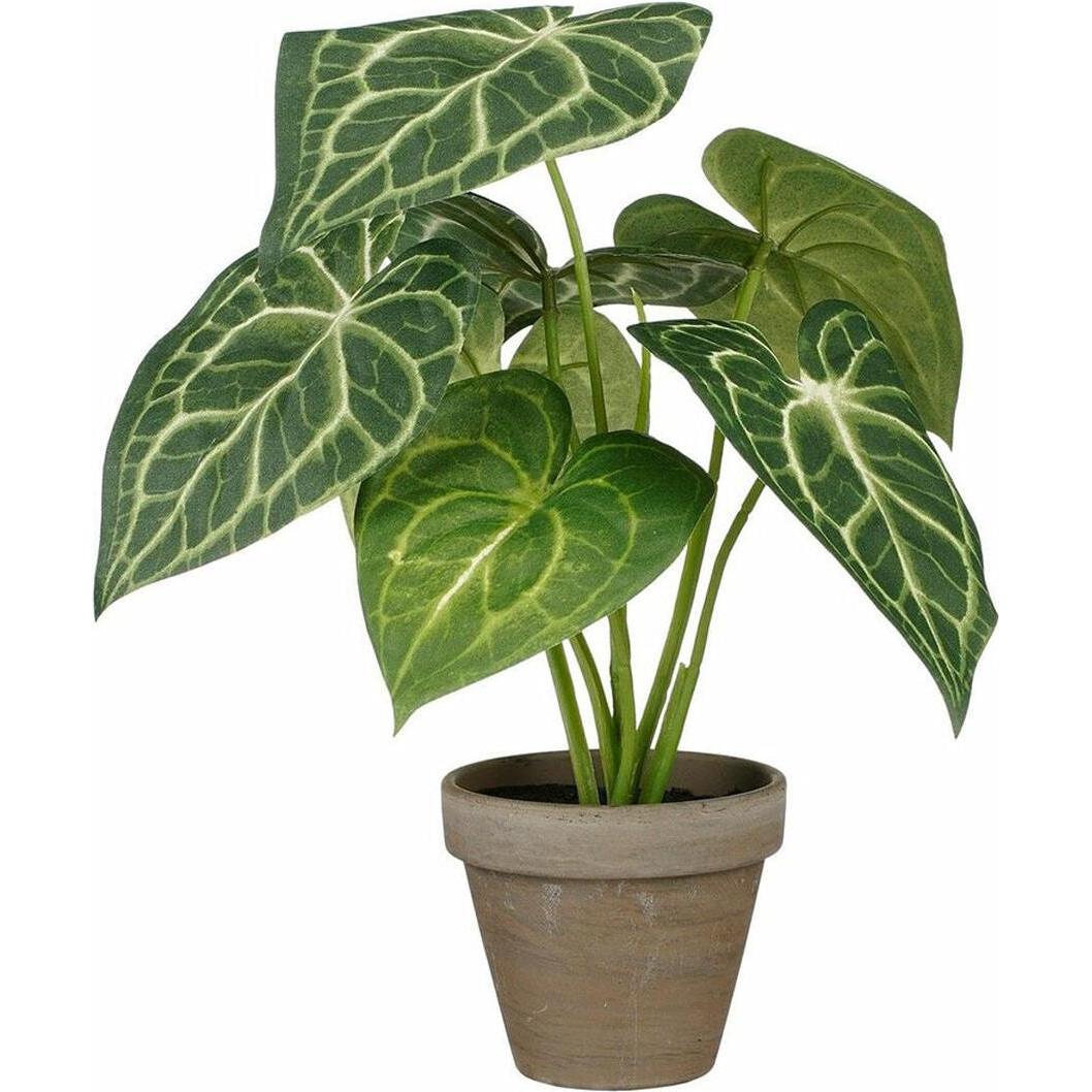 Mica Decorations Verde/Rosa/Multicolore Pianta Artificiale, Pianta Decorativa Caladium Ø 21 X 28 Cm Pianta Artificiale (28 Cm)