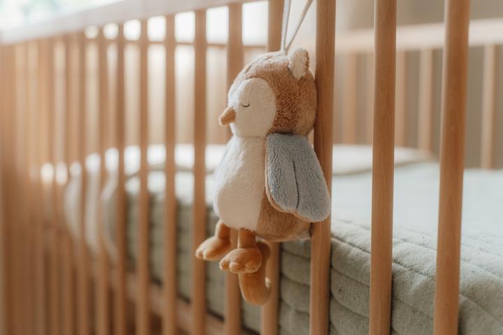 Image du produit Little Dutch Hibou Forest Friends