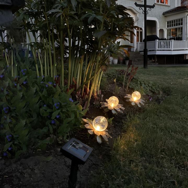 Image du produit Star Trading Solar Decoration Lilly (IP44)