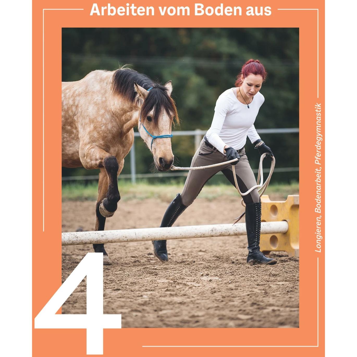Thumbnail - Die Reittrainings-Box, Ratgeber von Barbara Decker