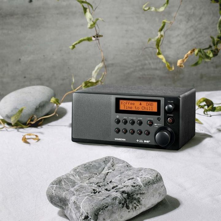 Actual product image Sangean Ddr-31+ (DAB+, FM)
