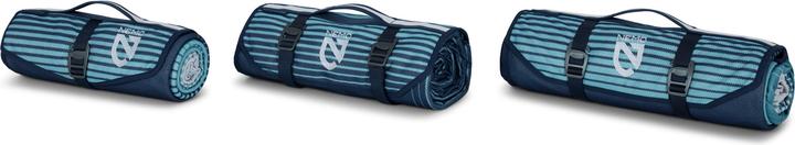 Arctic Stripe
