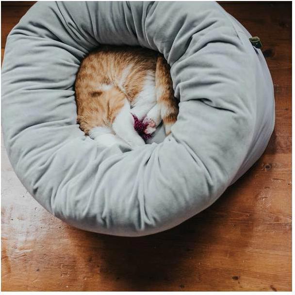 Immagine prodotto Hunter Dormiente per cani e gatti Miranda (Cane, Gatto)