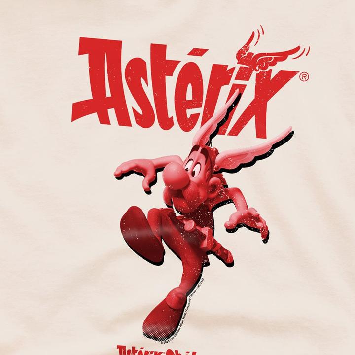 Produktbild Asterix & Obelix TShirt (M)