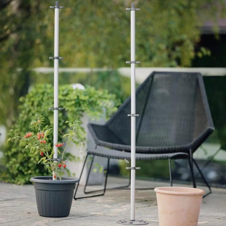 Actual product image Gusta Garden Tomato Buddy Starter (125.10 x 18 x 125.10 cm)