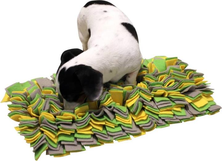 Produktbild Kerbl Schnüffelteppich (Intelligenzspielzeug Hund)