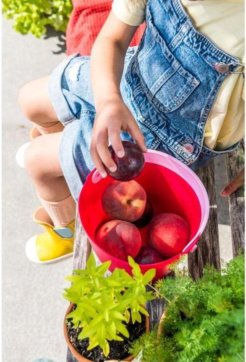 Produktbild Quut Eimer Bucki? Red Cherry 2 Teile, Altersempfehlung