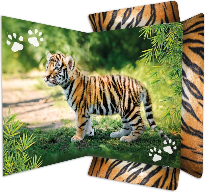 Immagine prodotto Rnk Astuccio da disegno per l'editore DIN A3 Tiger (A3, 1 x)