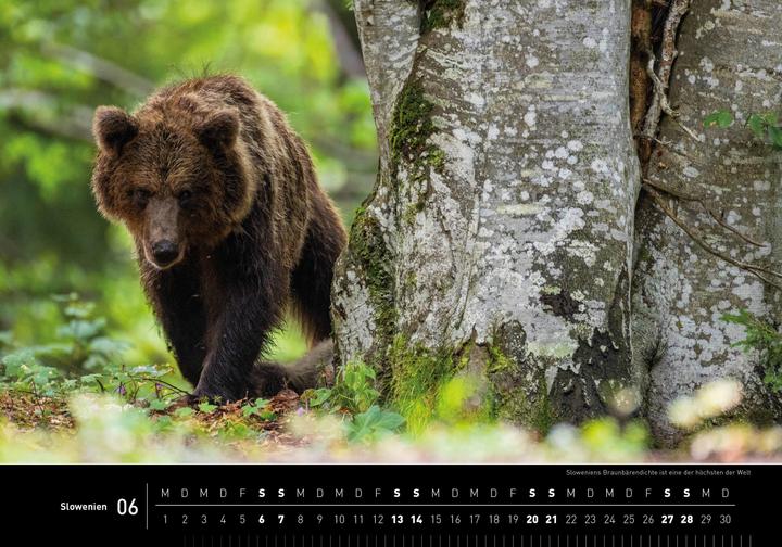 Produktbild Slowenien Premiumkalender 2026 (50 x 35 cm)