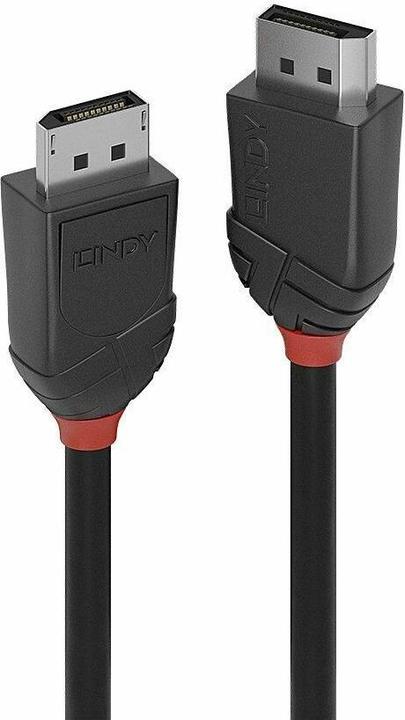 Produktbild Lindy DisplayPort — DisplayPort (0.50 m, DisplayPort, 1.2)