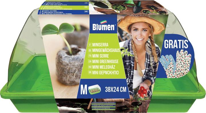 Produktbild Blumen Uni Grow