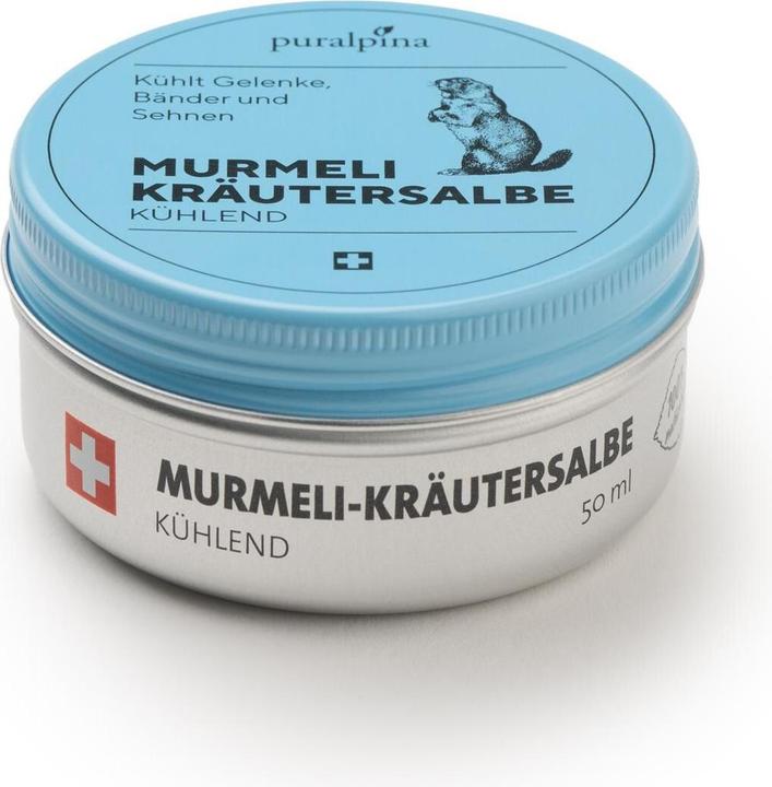 Valeurs nutritives et ingrédients Puralpina Pommade aux herbes Murmeli rafraîchissante (1 x, 50 ml, 70 g)