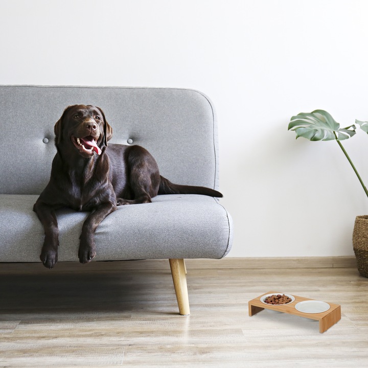 Produktbild Relaxdays Hunde-Futterstation (0.27 l)