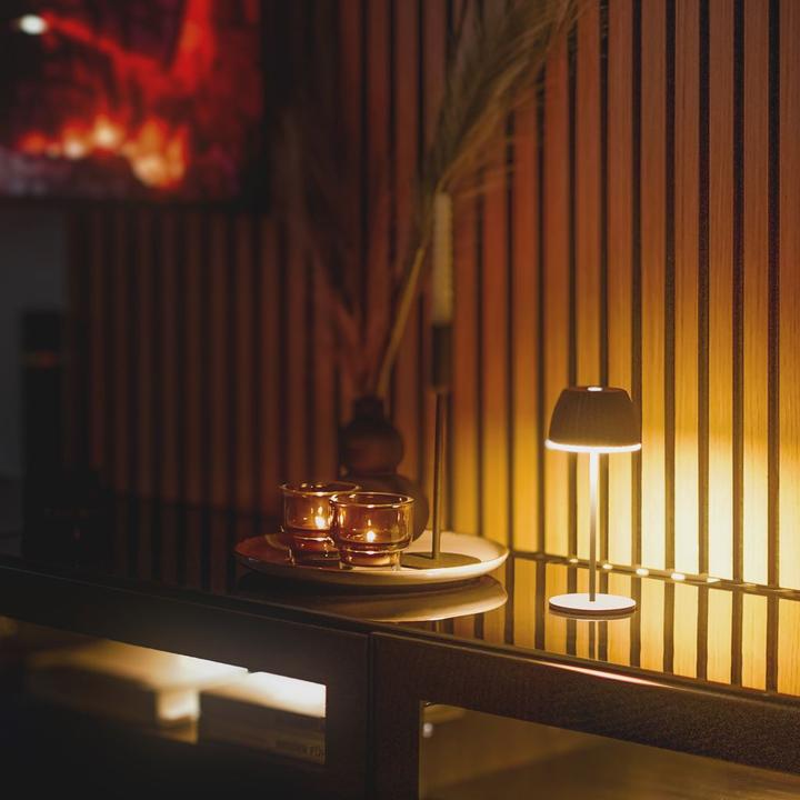 Produktbild Briloner Brilo unplugged RIFFLE Akku Nano Tischleuchte mit Lichtkante - Anthrazit (130 lm)