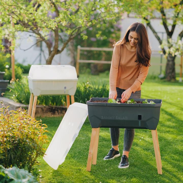 Immagine prodotto Gusta Garden Insalata Sammy