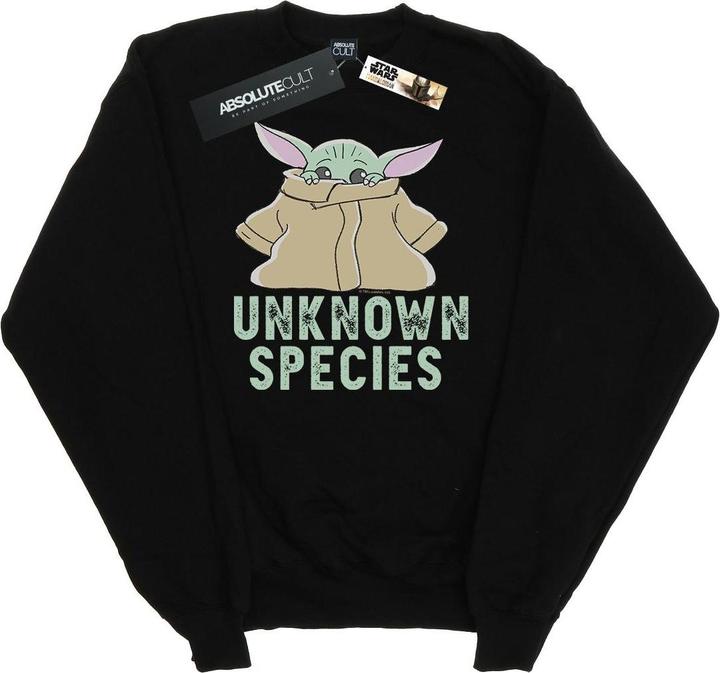 Image du produit Star Wars - Sweat THE MANDALORIAN UNKNOWN SPECIES - Homme (3XL)