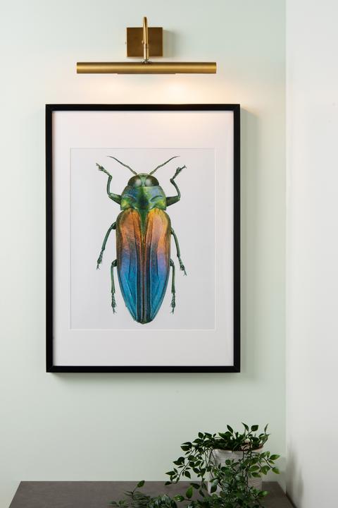 Produktbild Lucide Display & Bilderleuchten (G9)