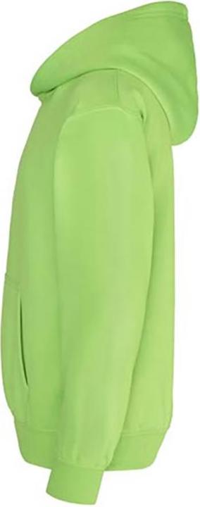 Produktbild Awdis Kapuzen Pullover (128)