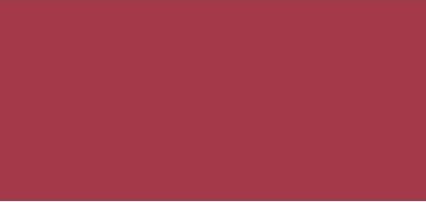 Actual product image Clarins Eclat Minute - Embellisseur Lèvres Intense Maple 17 (Red, Brown)