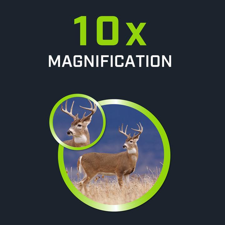 Immagine prodotto Bushnell Powerview 10x42 Realtree edge Raccoglitore di ossa, tetto (10 x, 42 mm)