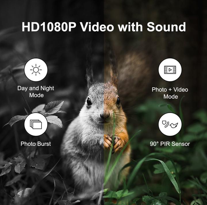 Actual product image LogiLink Game camera