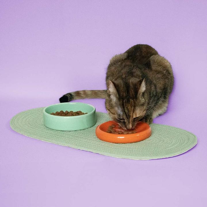 Image du produit Coockoo Gamelle FUNKY FEEDING (28 cl)
