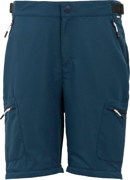 Actual product image Regatta Mens Leesville III Zip-Off Hiking Trousers (Frequency band 38 (2600 MHz))