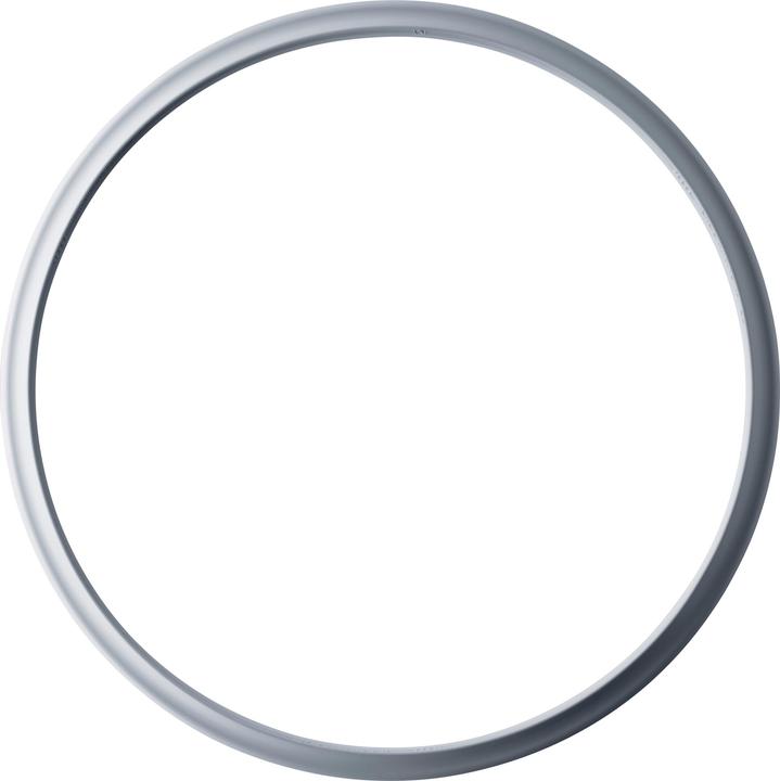 Actual product image Silit Silicone rubber ring (22 cm, Plastic)