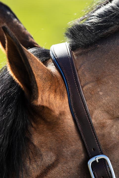 Immagine prodotto HFI Master Two-Tone